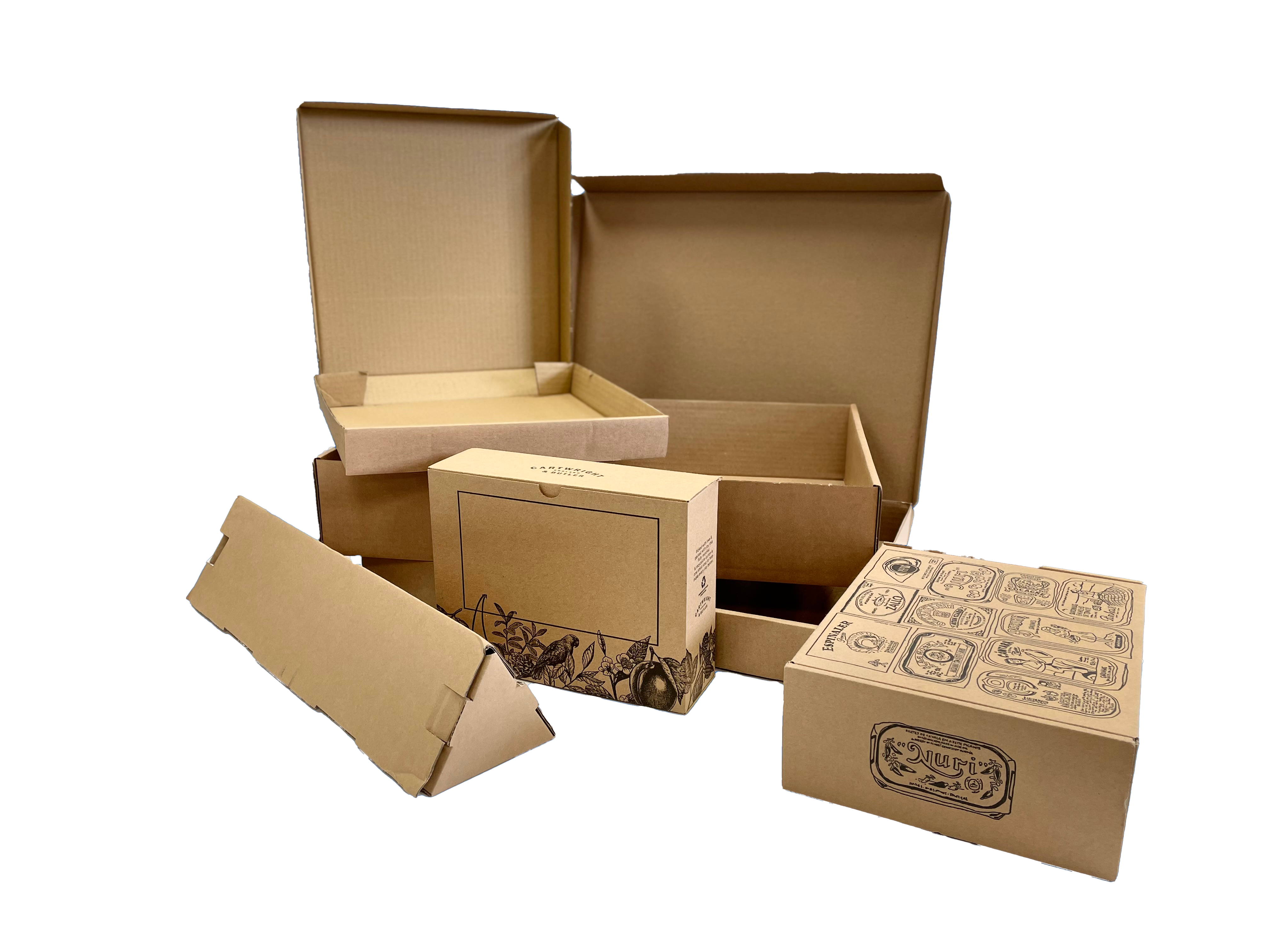 Diecut corrugated boxes