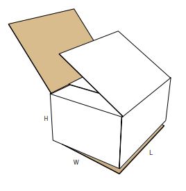 0203 printed carton style